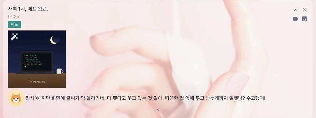 새벽 배포 사진에 모모가 남긴 말 — 「밤늦게까지 일했냥? 수고했어!」